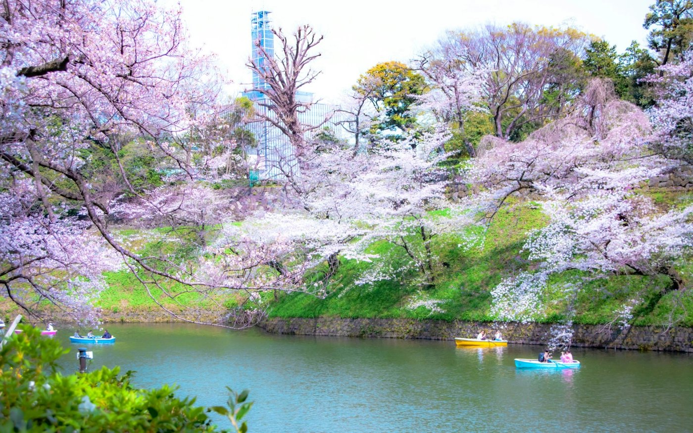 Spring scenery in Japan