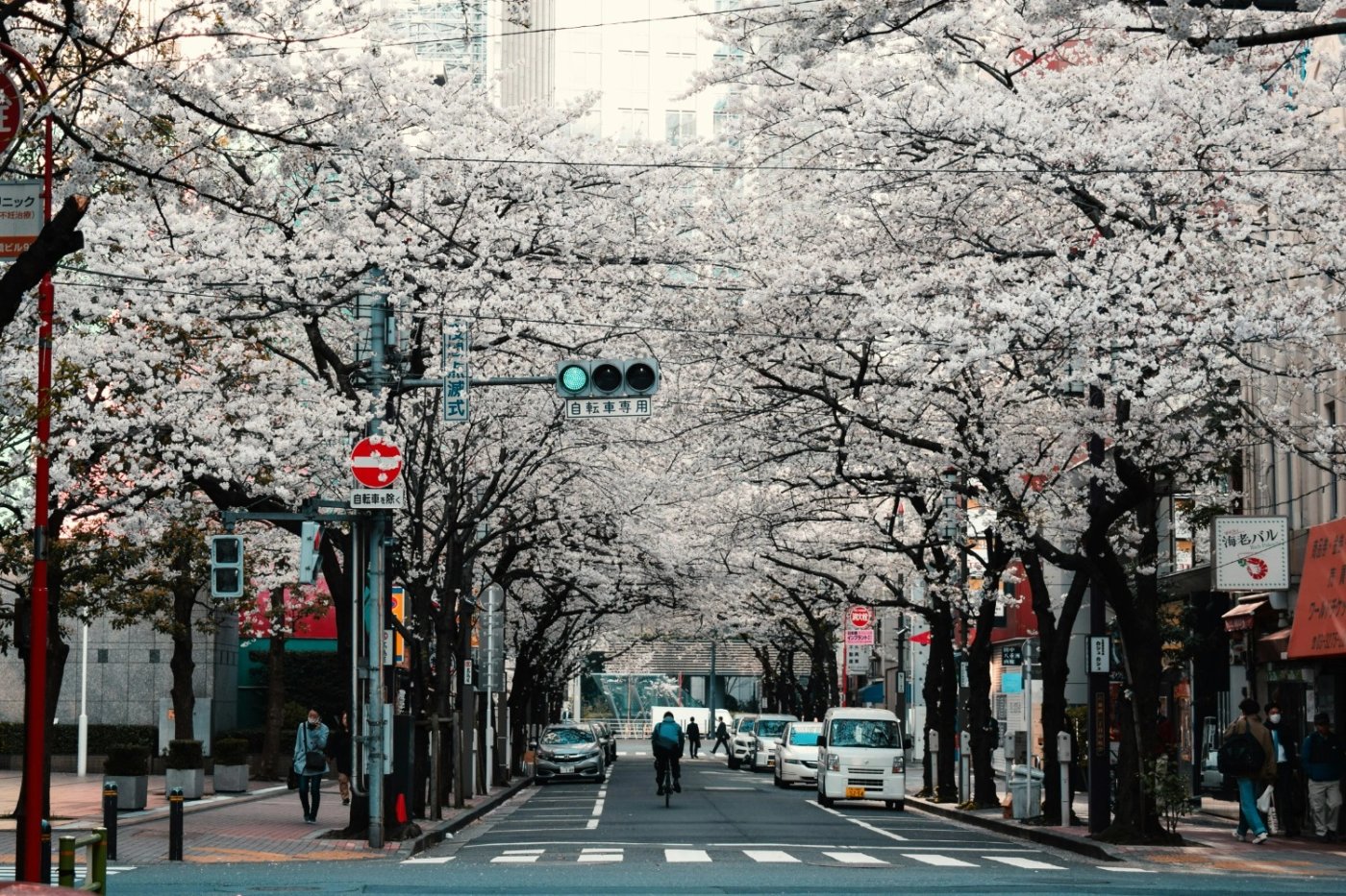 Spring scenery in Japan