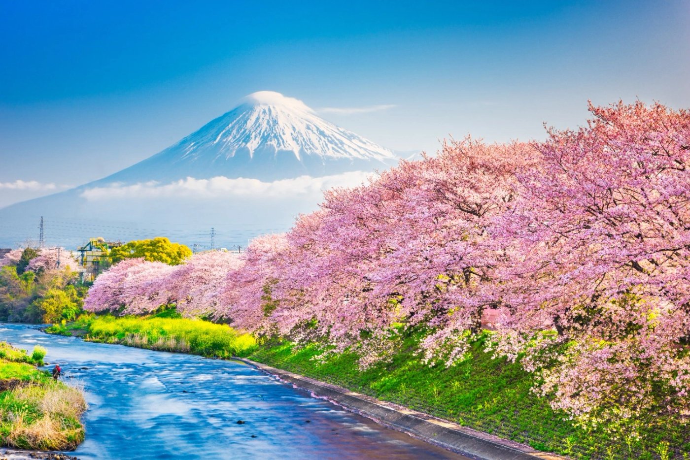 Spring scenery in Japan