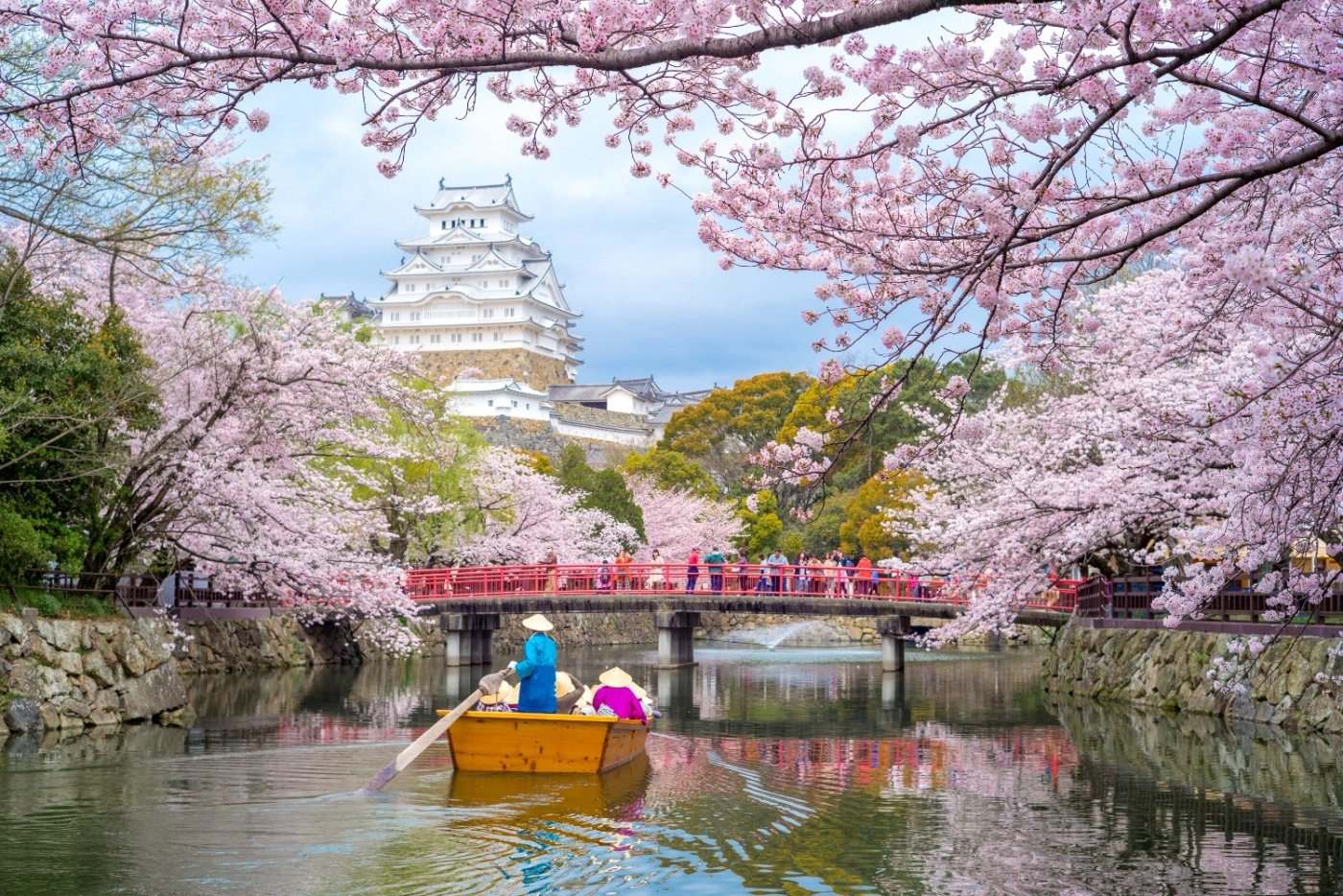 Himeji’s Cherry Blossom Season