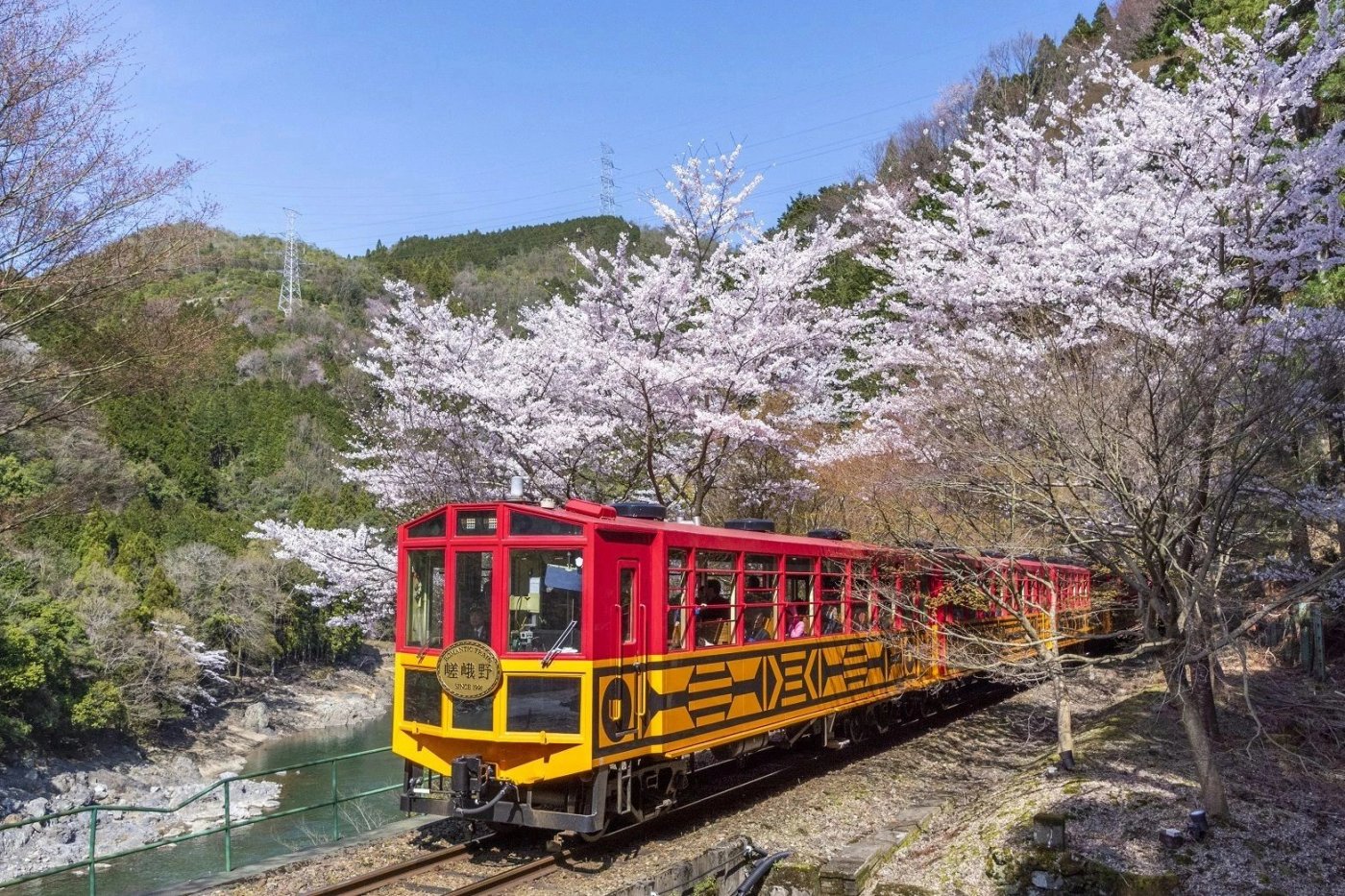 Kyoto’s Cherry Blossom Season