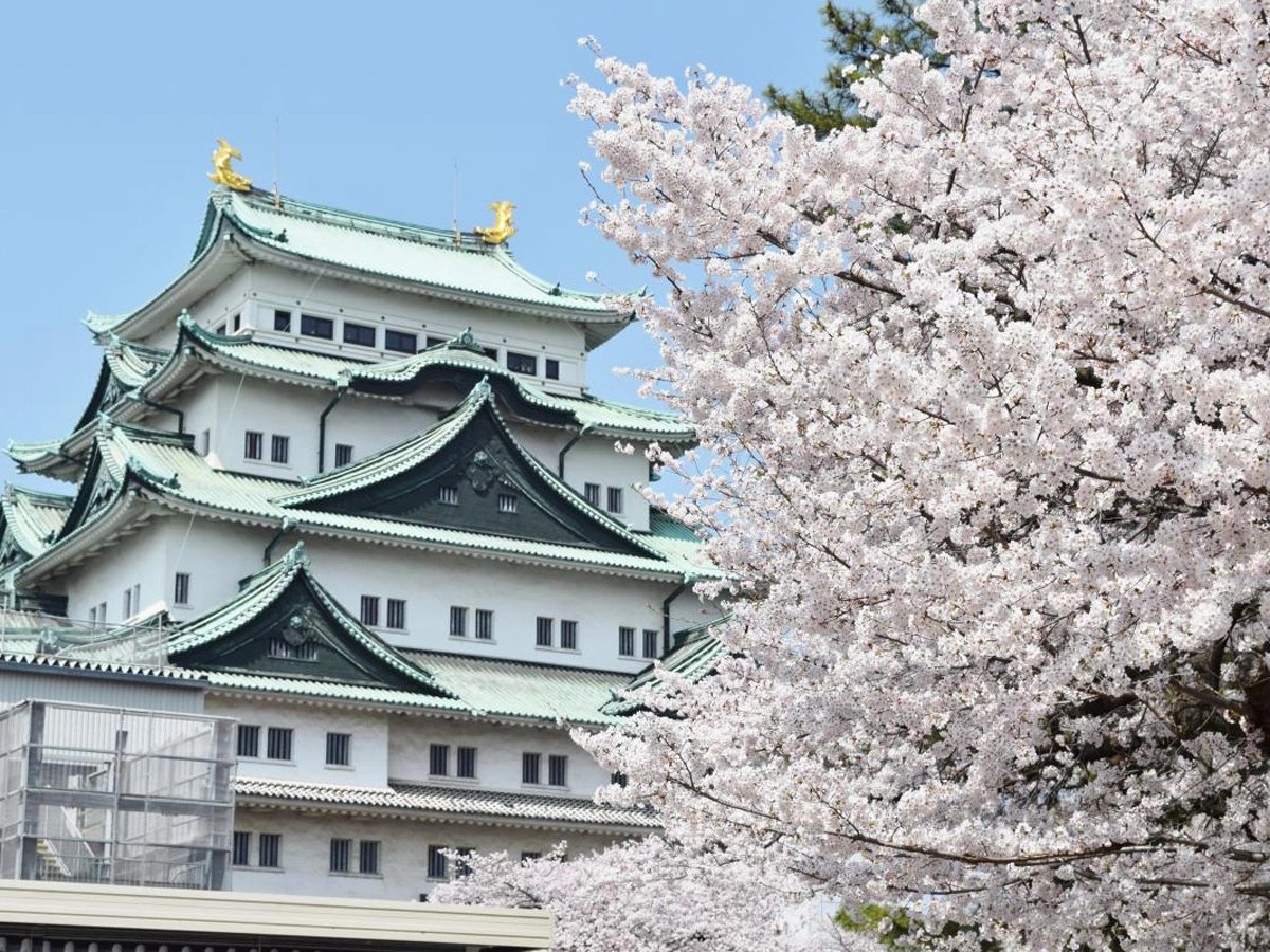Nagoya’s Cherry Blossom Season
